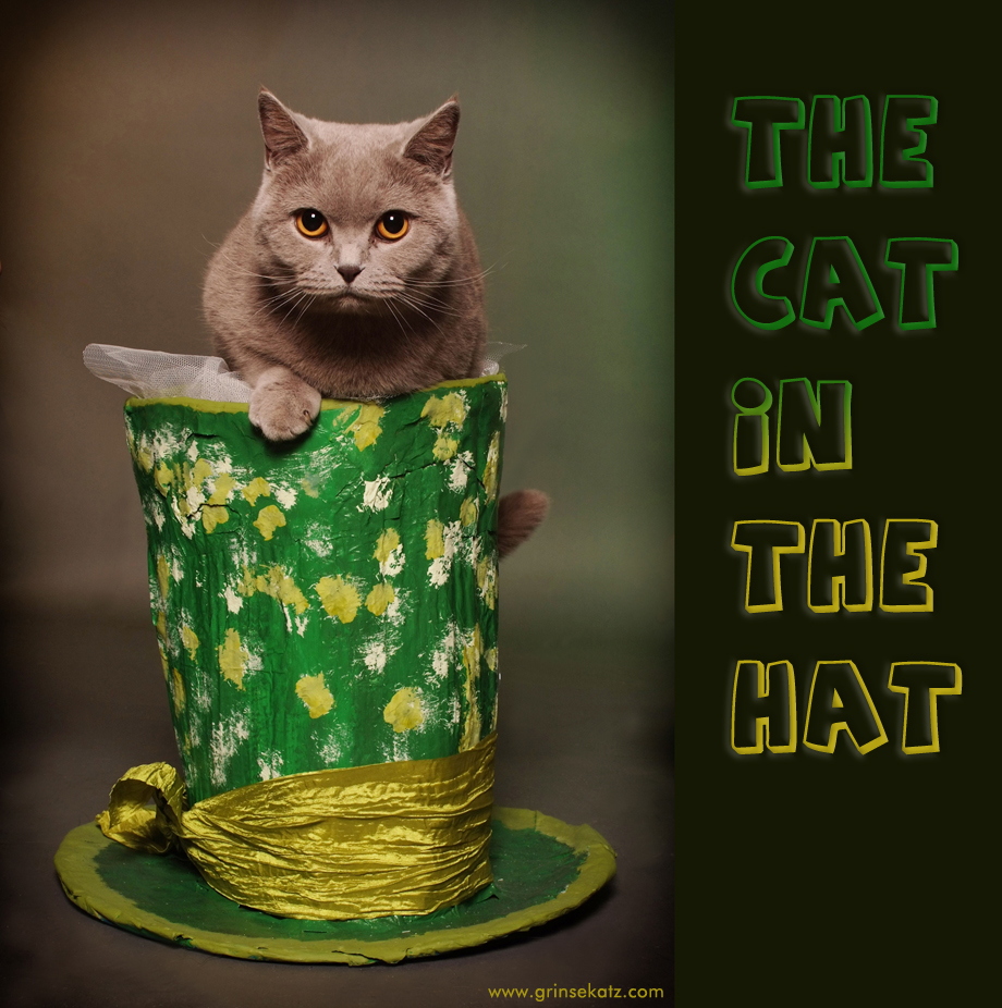 cat-in-the-hat-grinsekatz-templin-uckermark